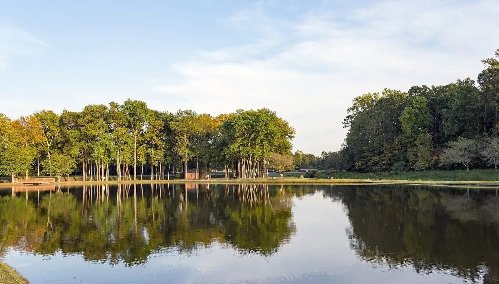 Calm pond reflecting a line of trees in Huntersville, North Carolina