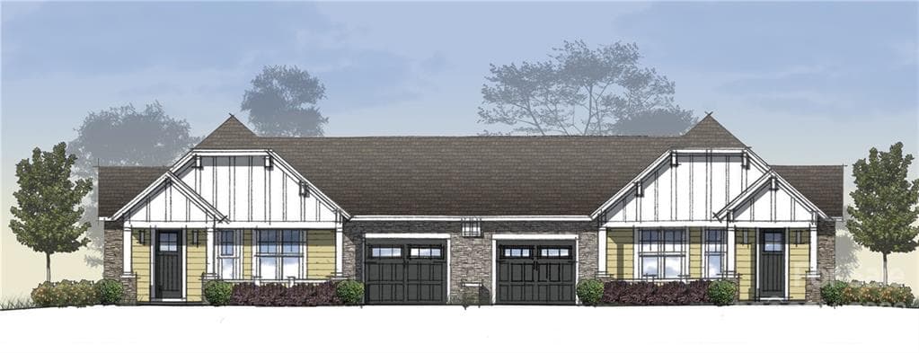 307 Golden Aster - Image 1