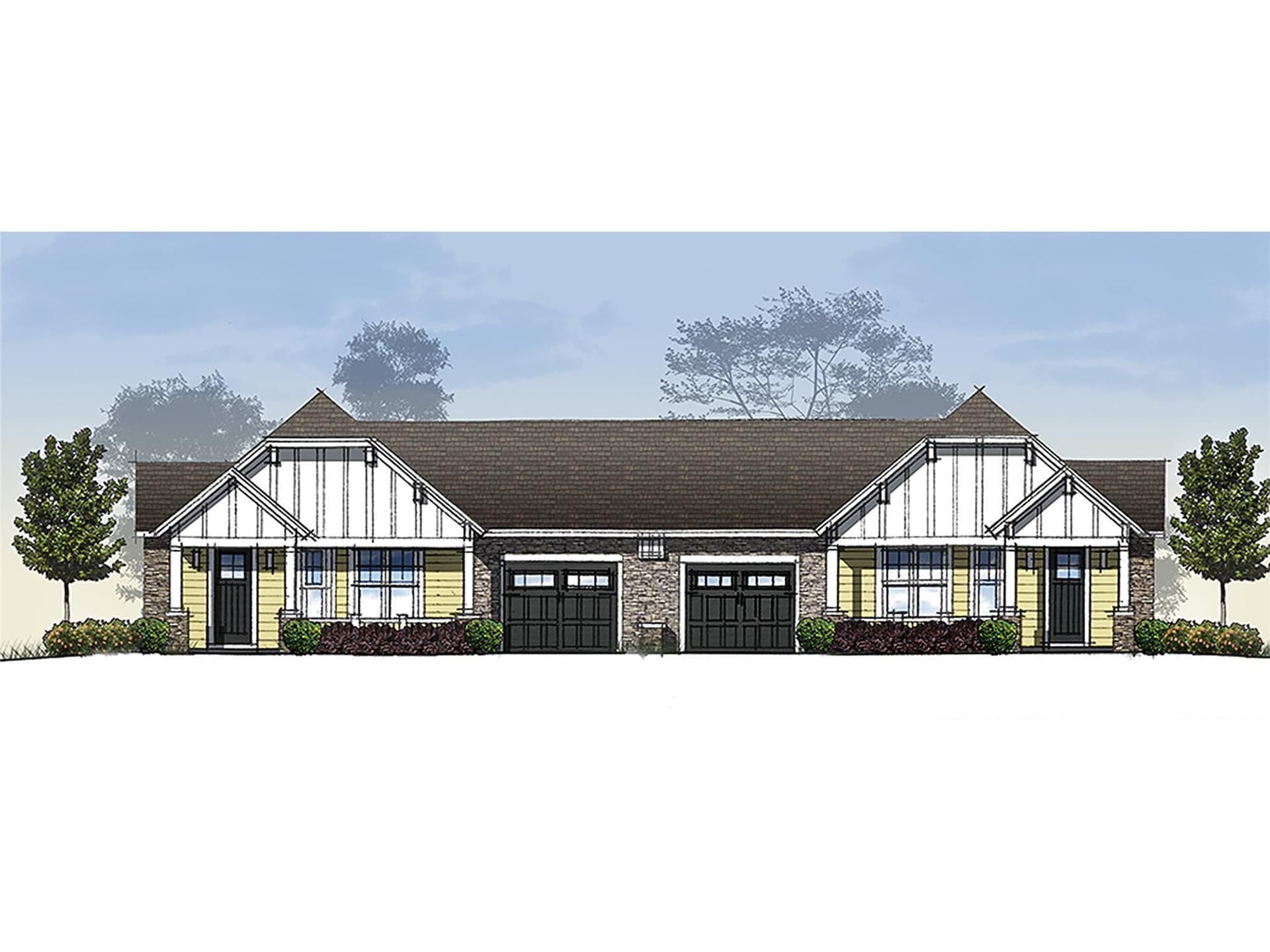 191 Golden Aster - Image 1