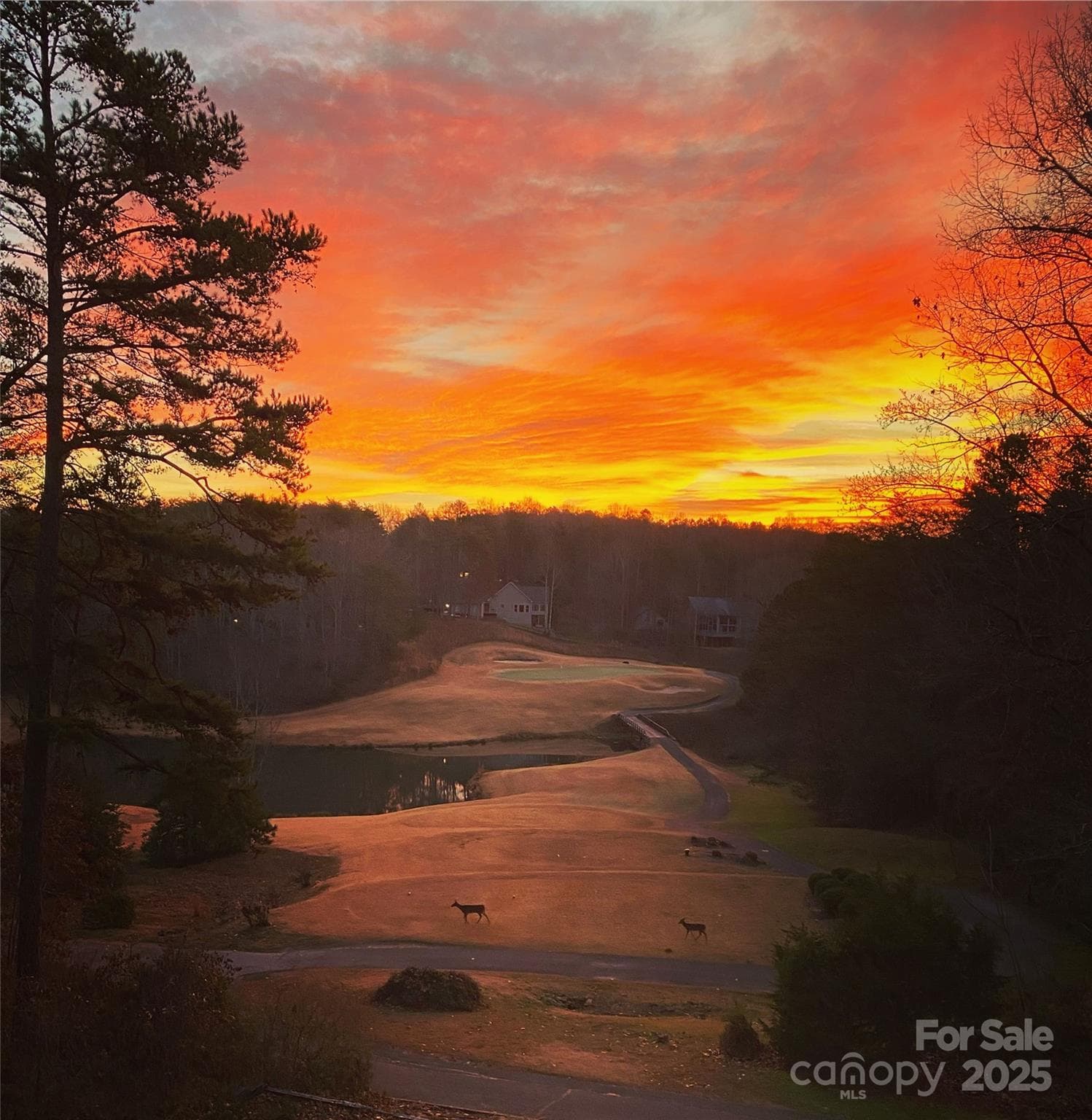 172 Summer Morning - Image 1