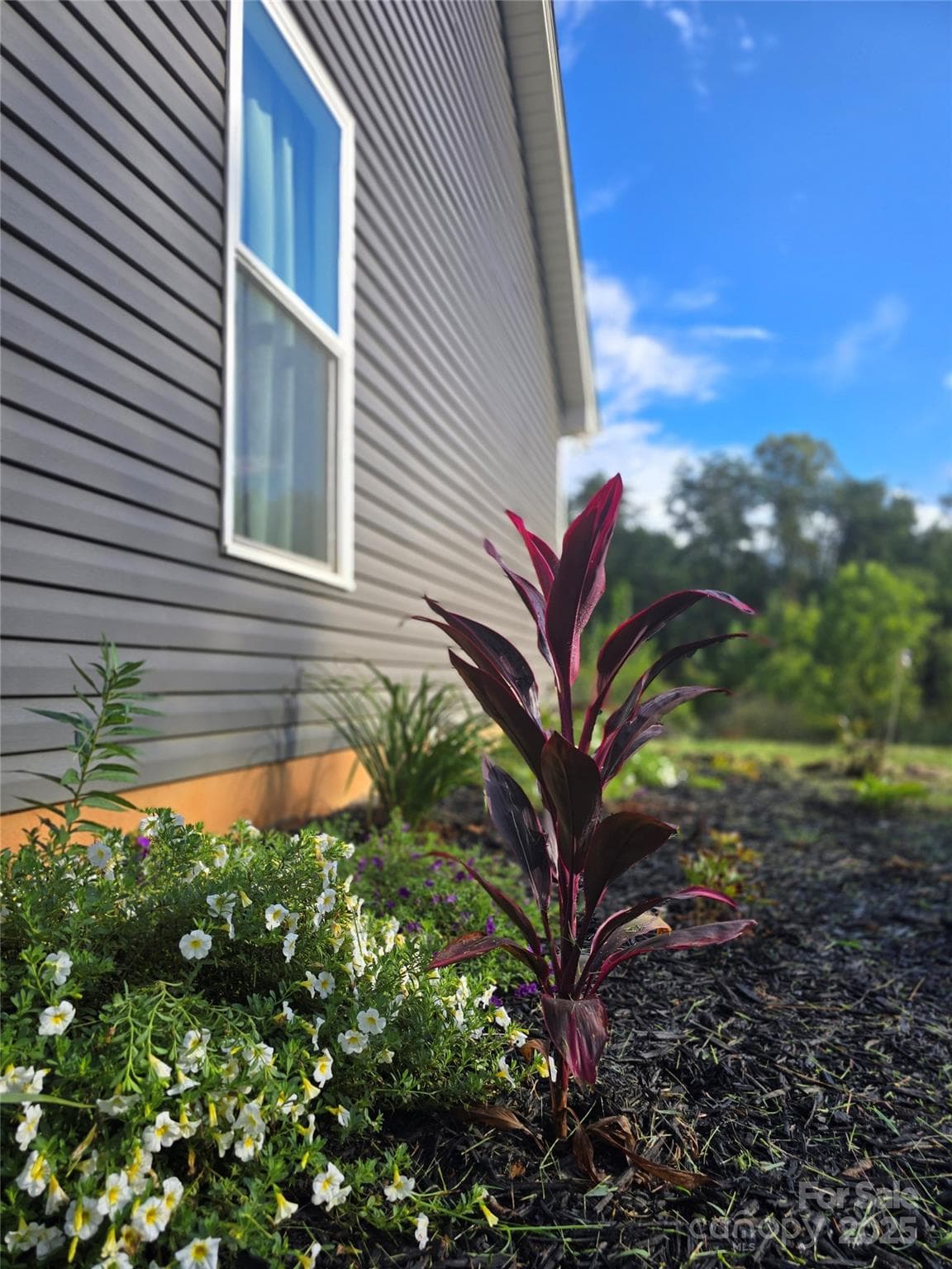 19 Higgins - Image 1