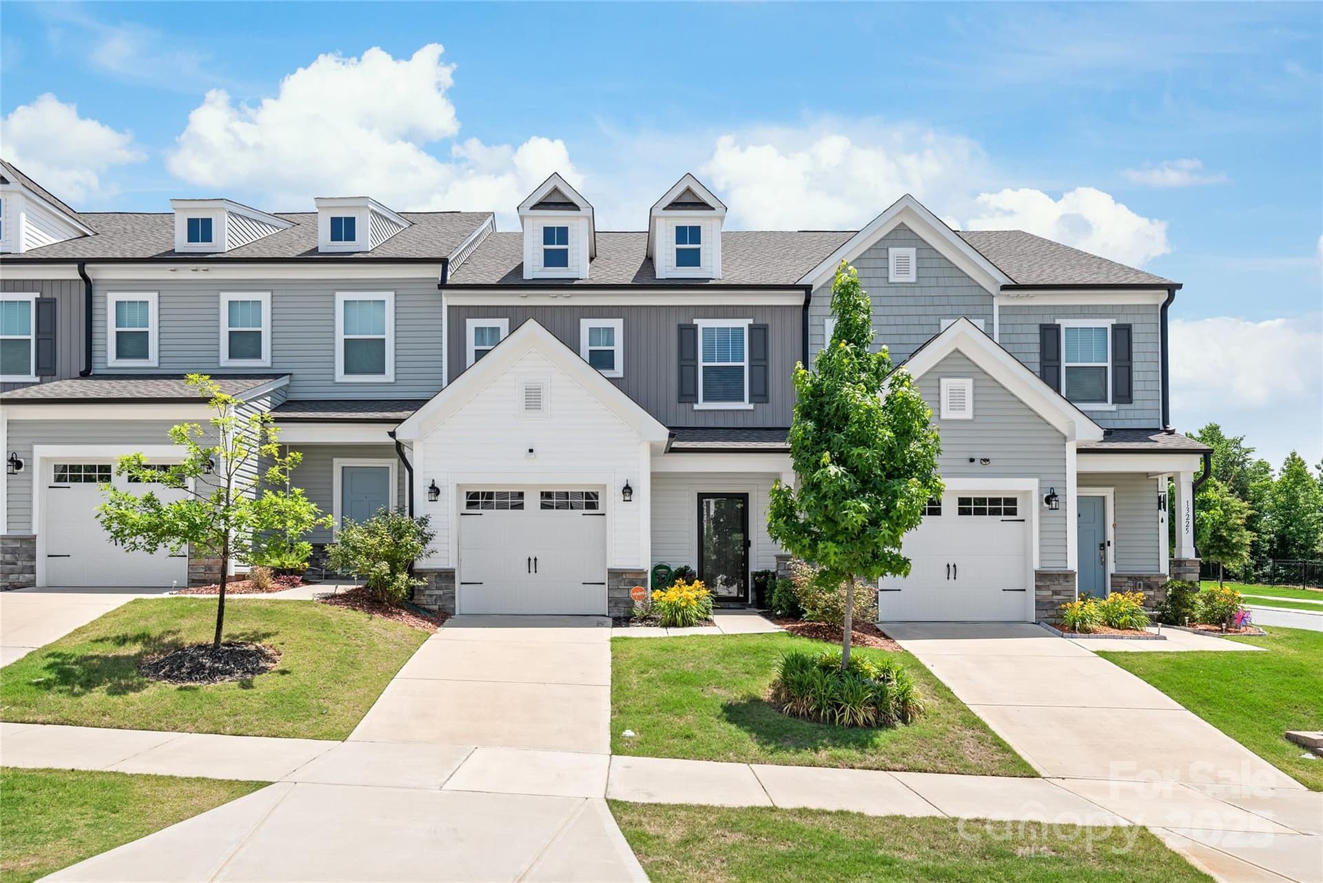13221 Gadwal Pintail - Image 1