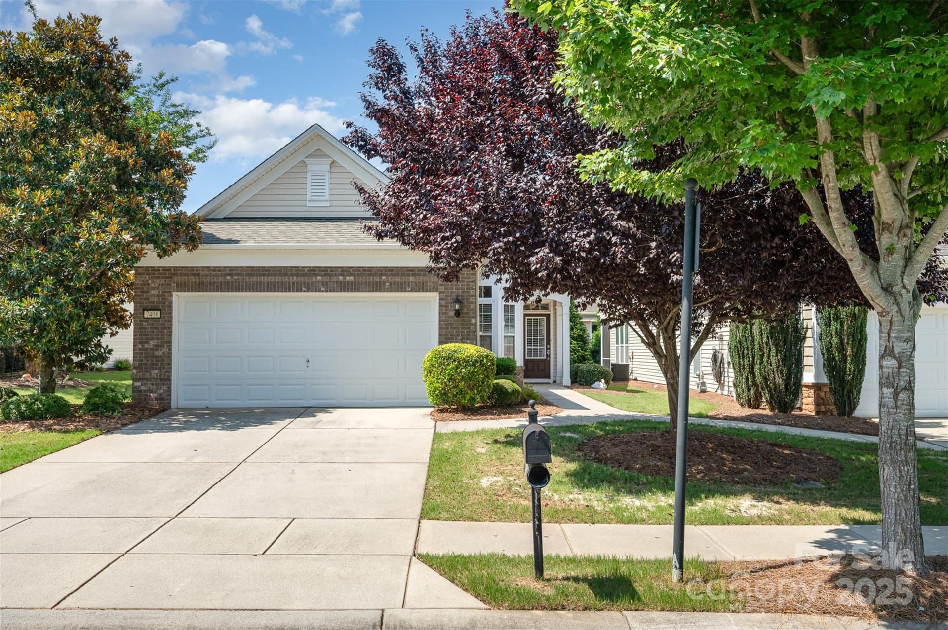 7406 Carolina Jessamine - Image 1