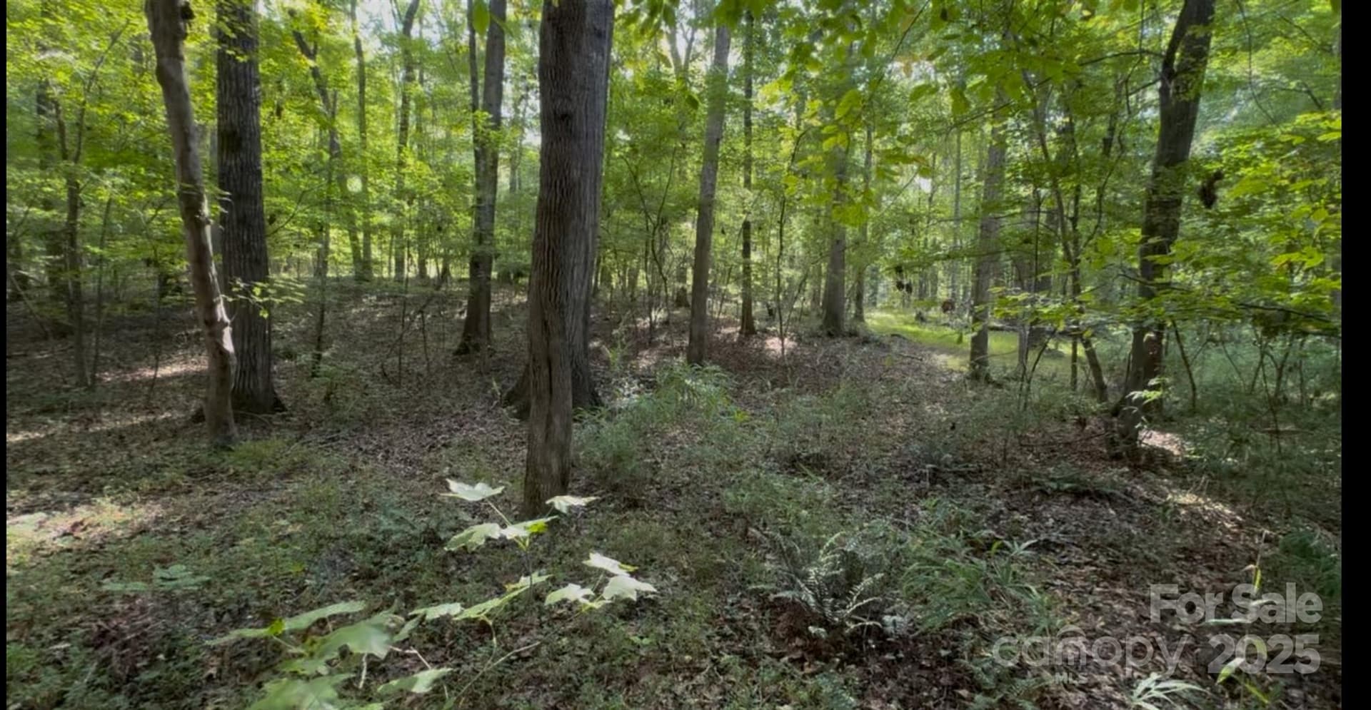 1402 Bloomsberry - Image 1