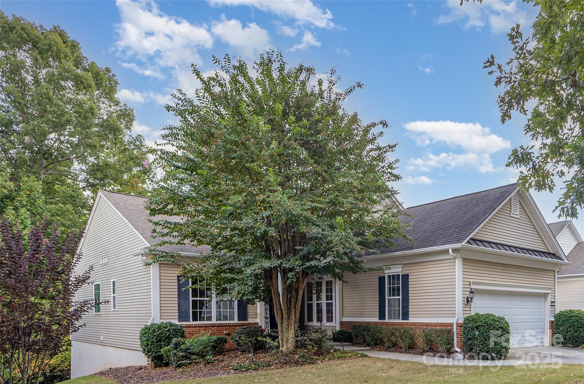 57142 Nightingale - Image 1