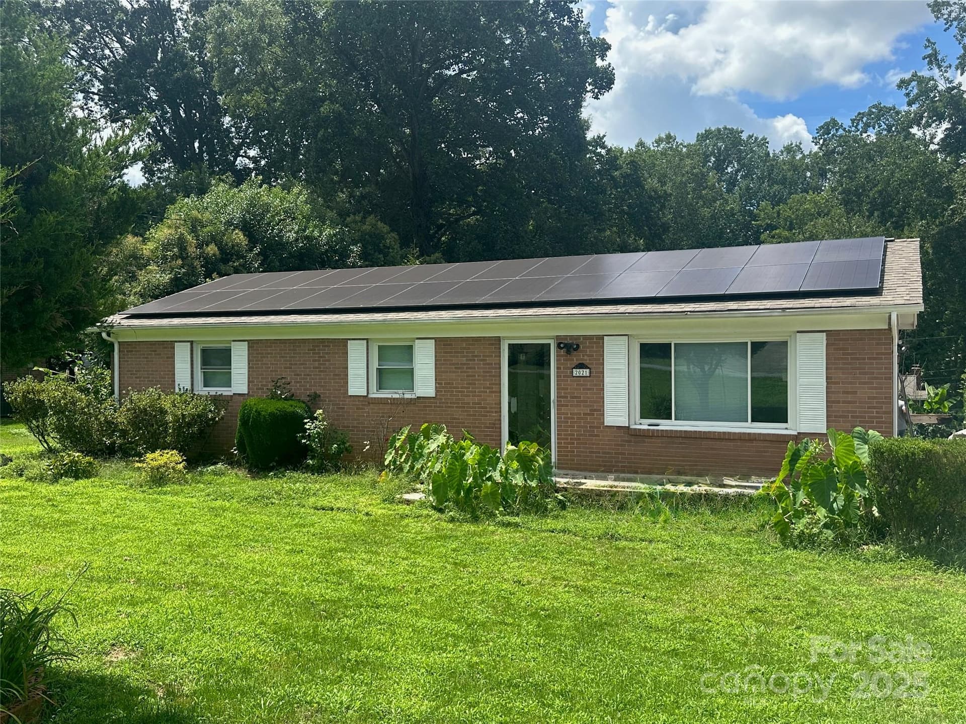 2021 Hollandale - Image 1