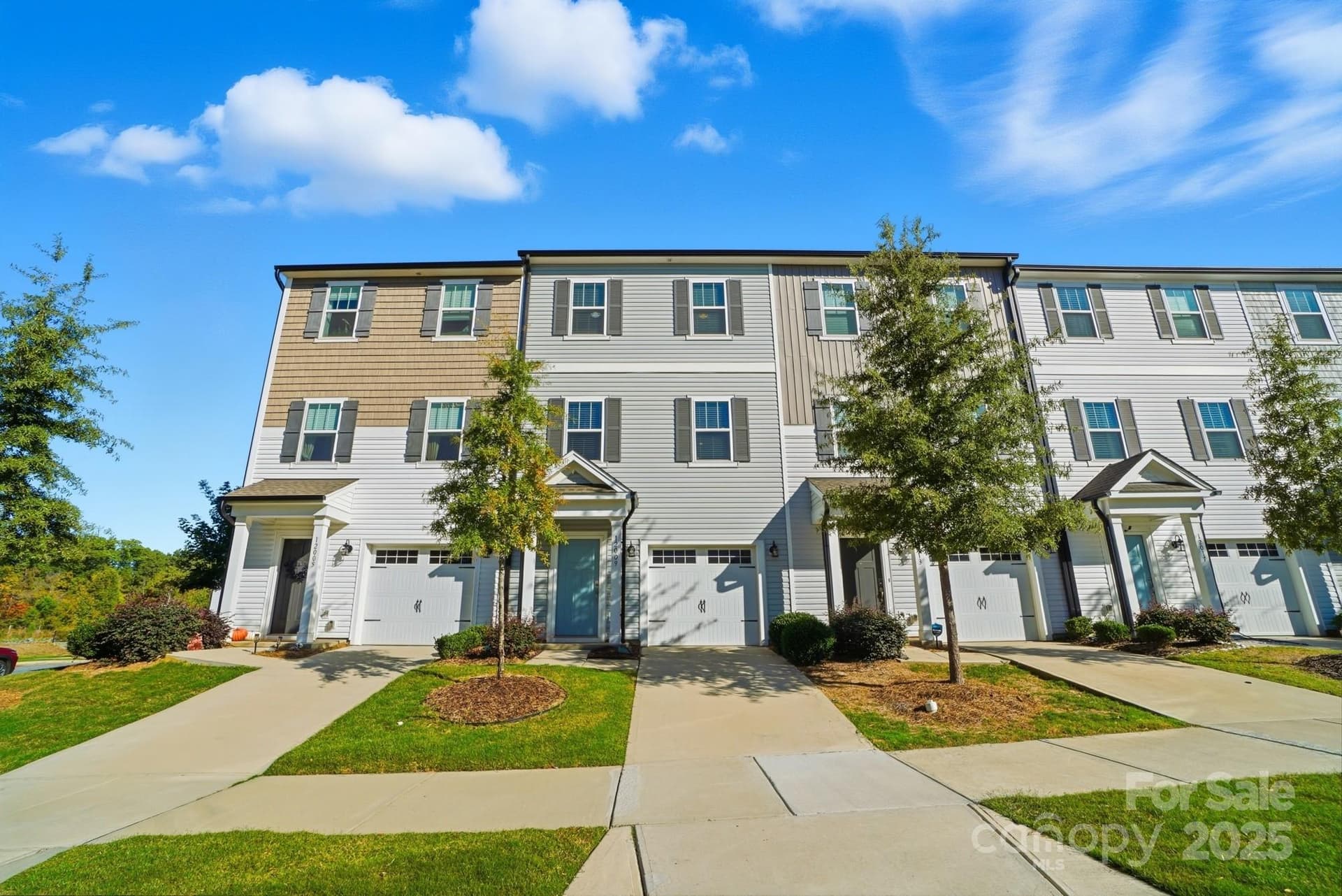 12009 Chesapeake Mallard - Image 1