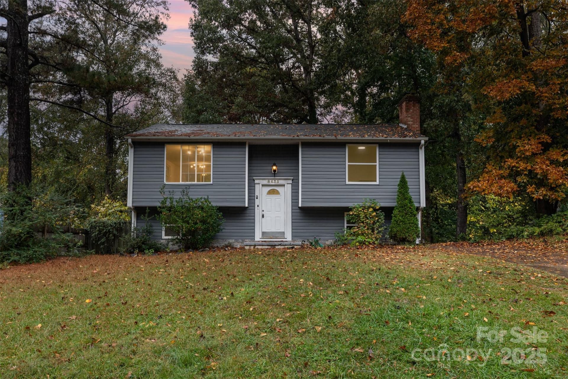 8435 Othello - Image 1