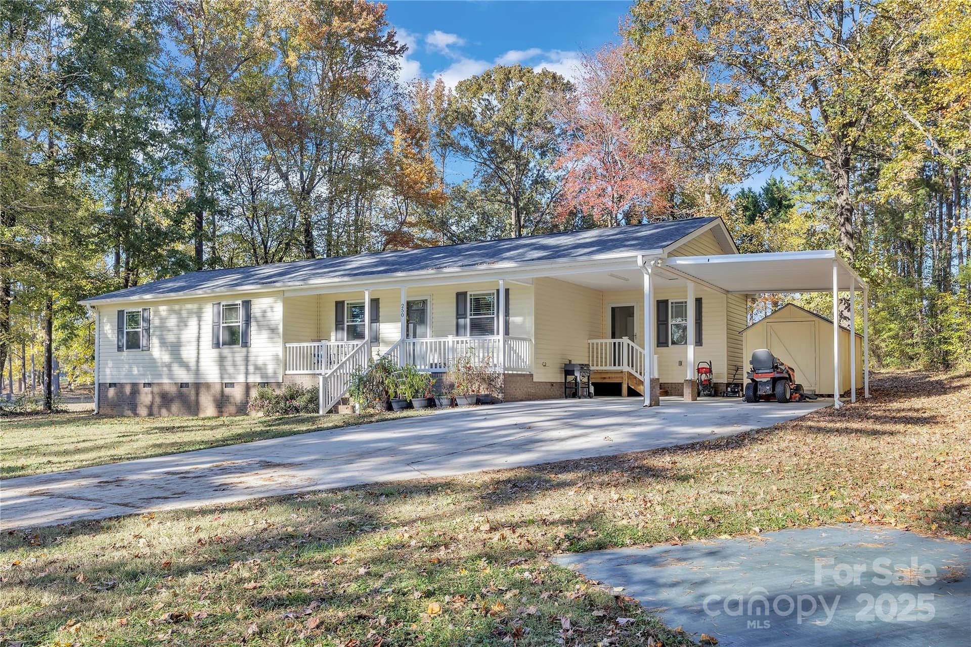 250 Lariat - Image 1