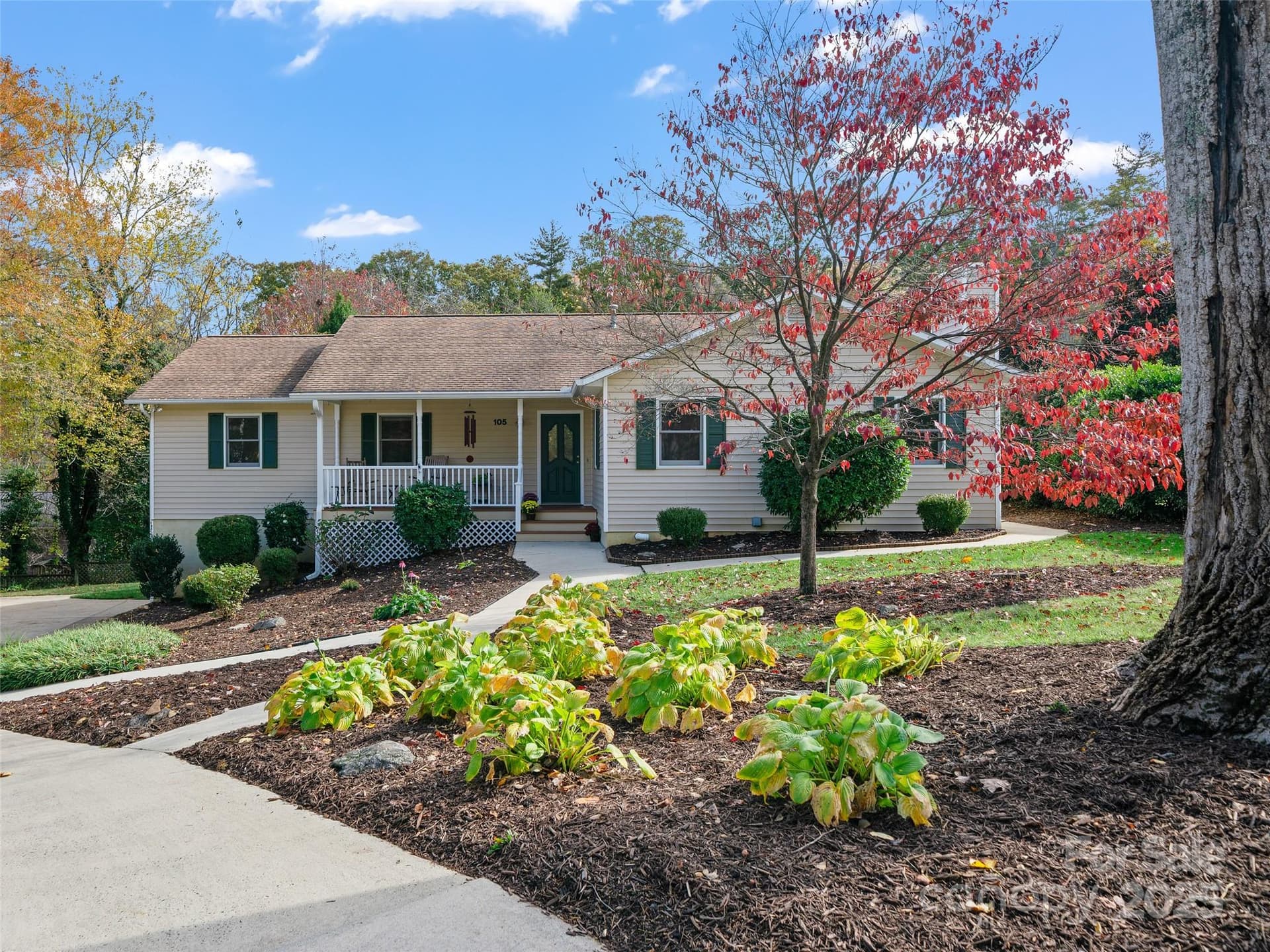 105 Goldfinch - Image 1