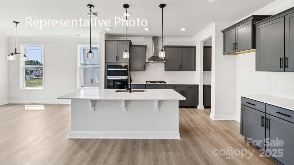 3043 Canvasback - Image 1