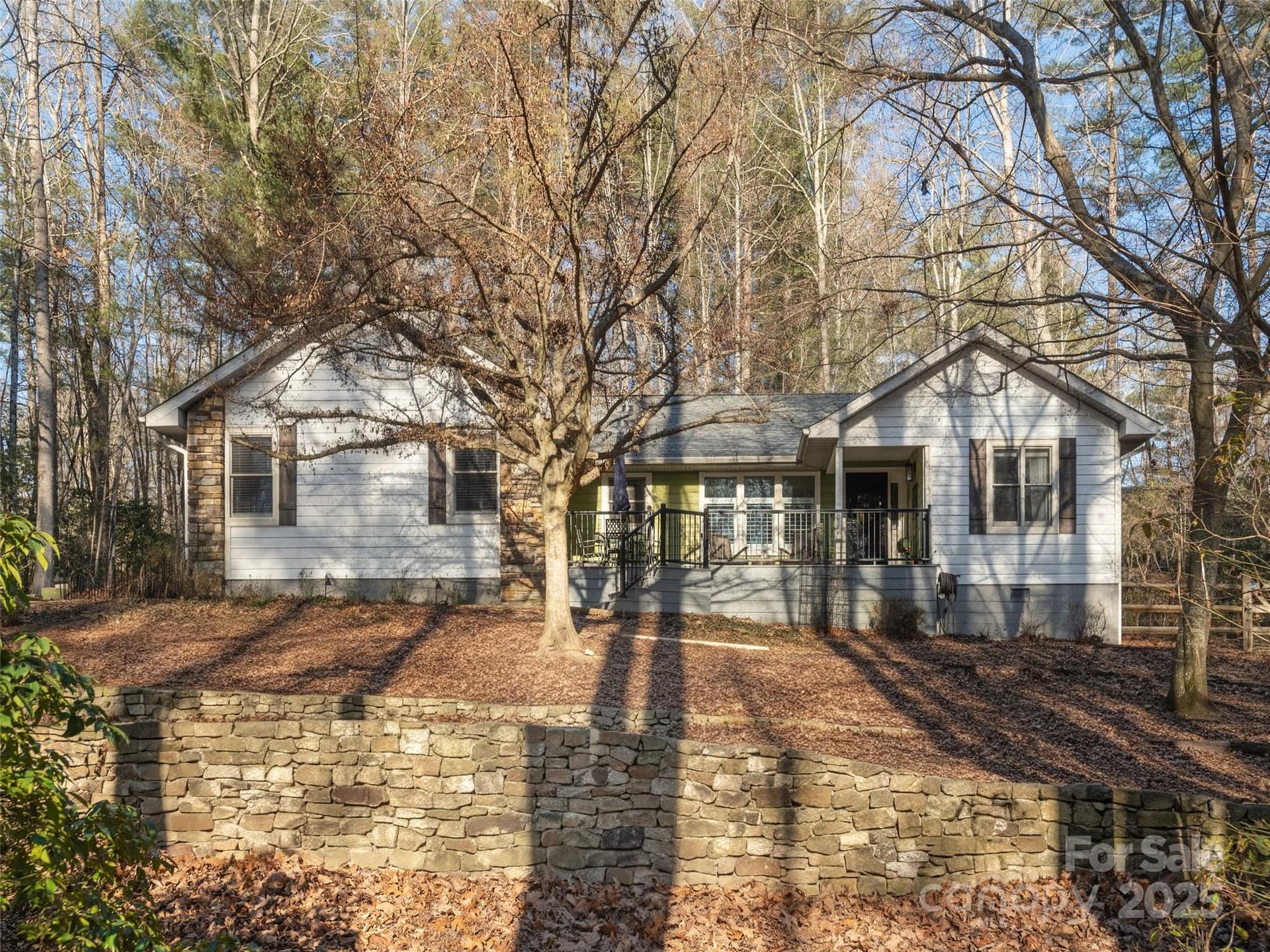 128 Camellia - Image 1