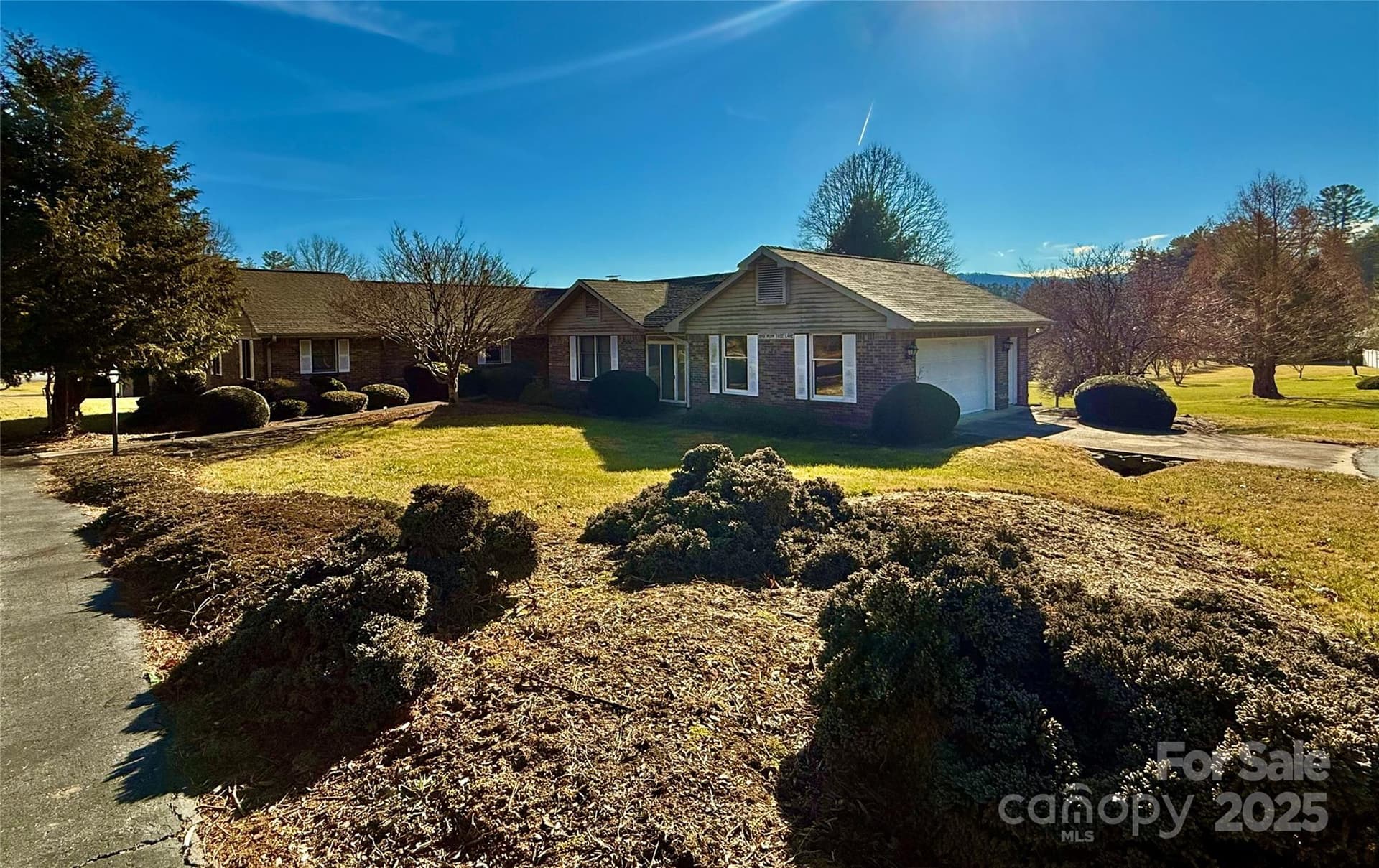 2001 Plum Tree - Image 1