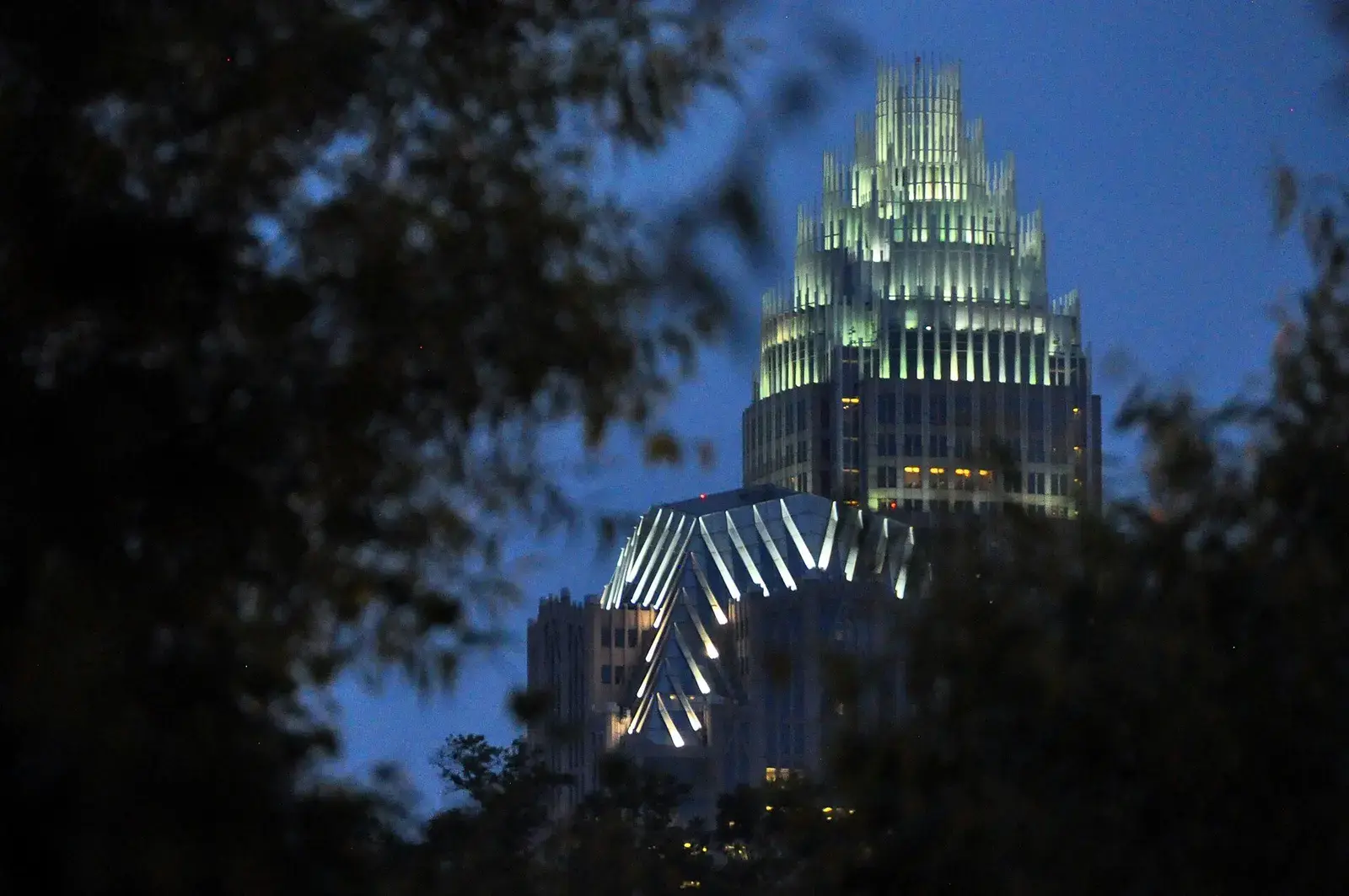 Uptown Charlotte tower lit at night, framed by trees
