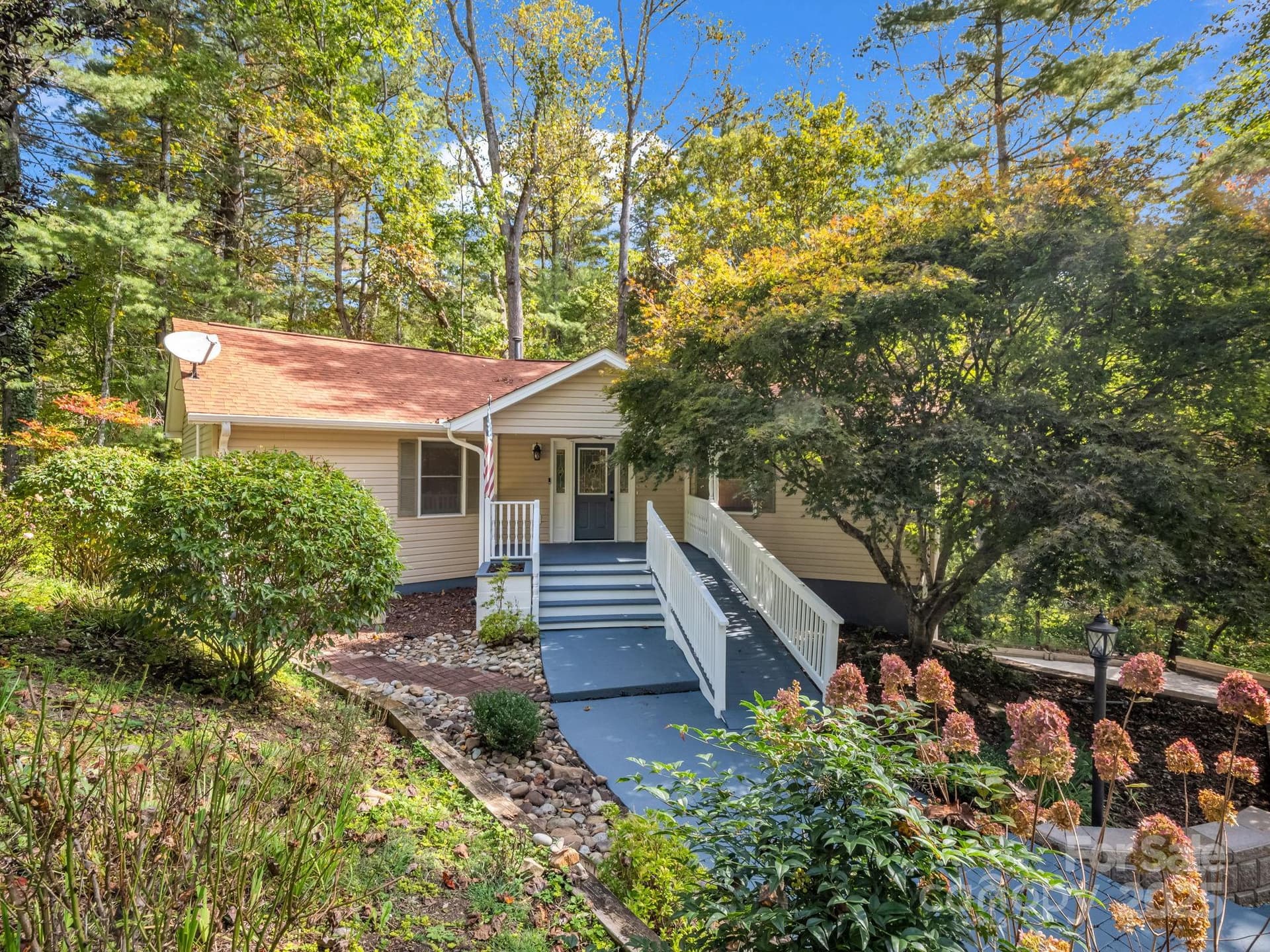 204 Pine Berry - Image 1