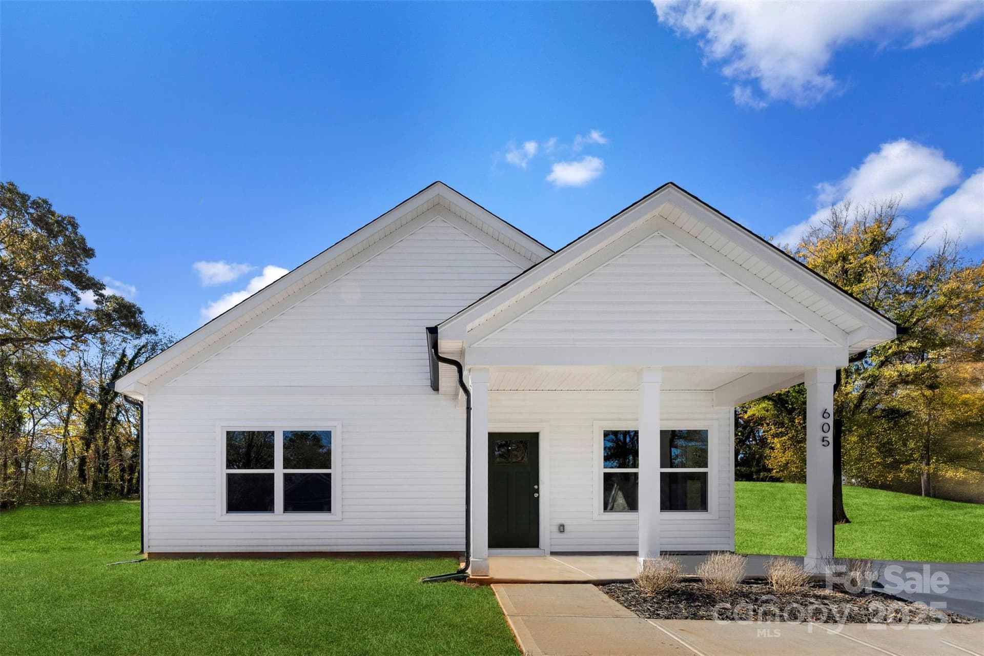 605 Meadow - Image 1