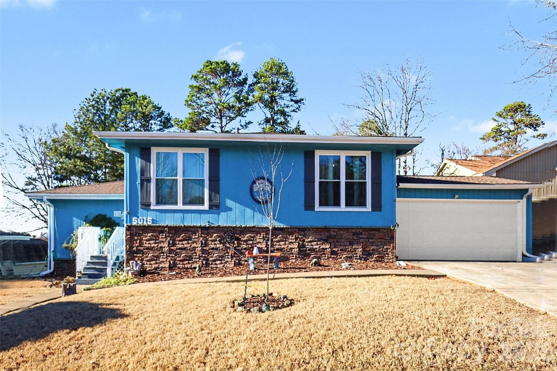 5016 Tara Tea - Image 1